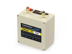 12V 25Ah Rechargeable LiFePO4 Battery Pack Built-in BMS For Golf Backup Power Solar Energy with USB +4A Charger